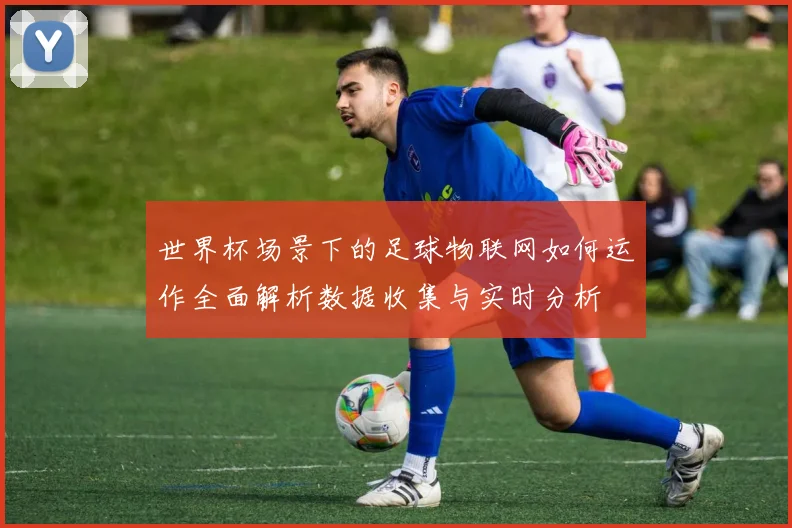 世界杯场景下的足球物联网如何运作全面解析数据收集与实时分析